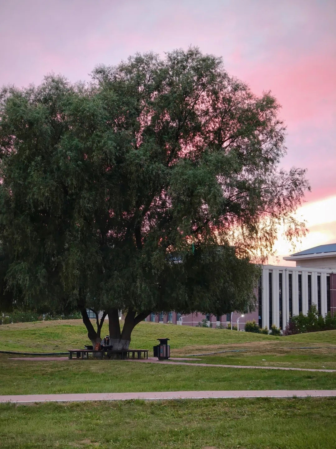 2025年“朋辈协力·心理成长”系列活动——h动画
研究生成功开展两院联动“光影寻静，破‘卷’而出”随手拍大赛